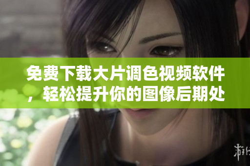 免费下载大片调色视频软件，轻松提升你的图像后期处理技能！
