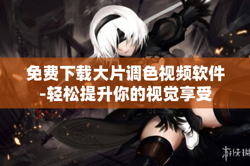 免费下载大片调色视频软件-轻松提升你的视觉享受