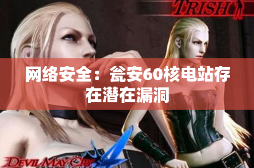 网络安全：瓮安60核电站存在潜在漏洞