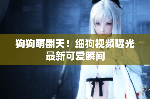 狗狗萌翻天！细狗视频曝光最新可爱瞬间