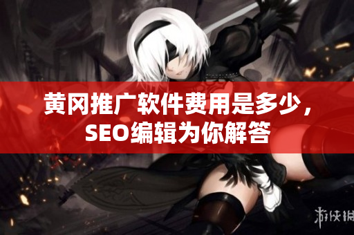 黄冈推广软件费用是多少，SEO编辑为你解答