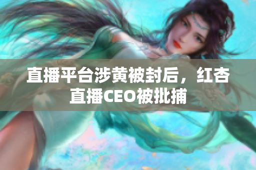 直播平台涉黄被封后，红杏直播CEO被批捕