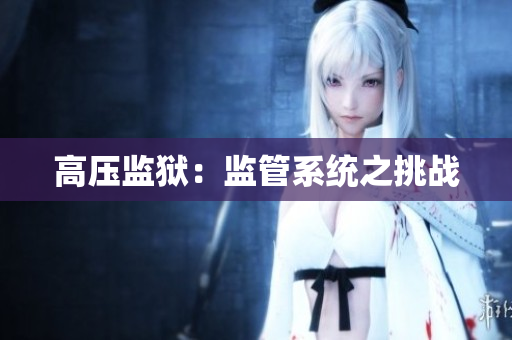 高压监狱：监管系统之挑战