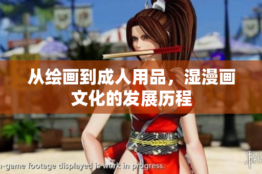 从绘画到成人用品，湿漫画文化的发展历程