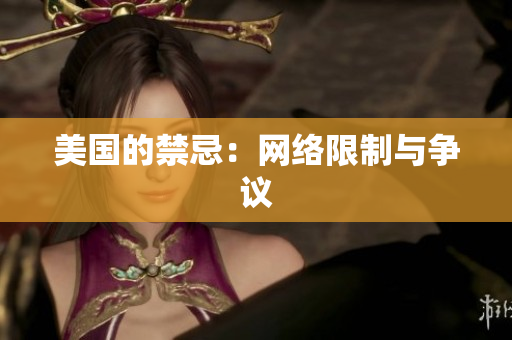 美国的禁忌：网络限制与争议