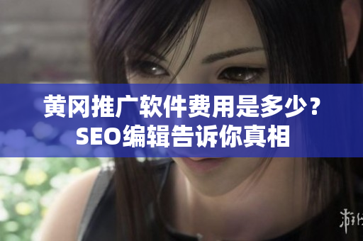黄冈推广软件费用是多少？SEO编辑告诉你真相