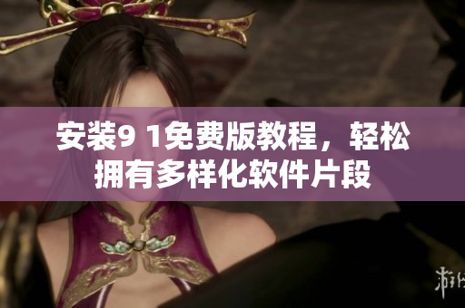 安装9 1免费版教程，轻松拥有多样化软件片段