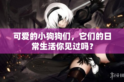 可爱的小狗狗们，它们的日常生活你见过吗？