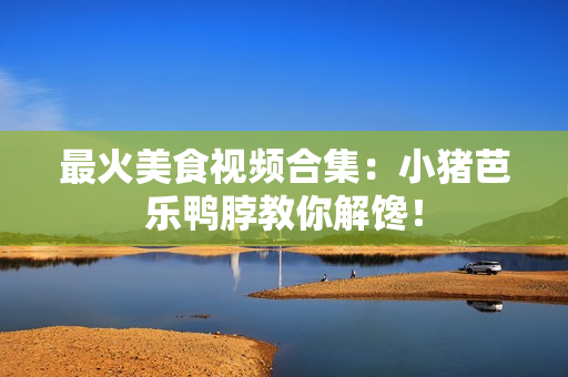 最火美食视频合集：小猪芭乐鸭脖教你解馋！