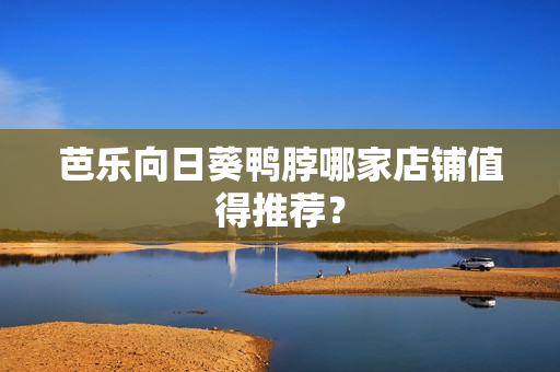 芭乐向日葵鸭脖哪家店铺值得推荐？
