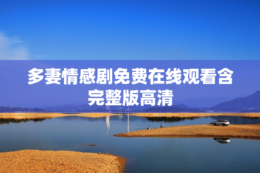多妻情感剧免费在线观看含完整版高清