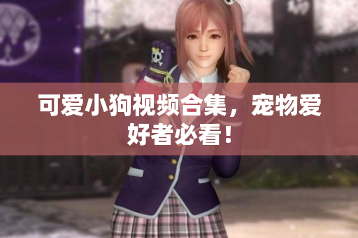 可爱小狗视频合集，宠物爱好者必看！