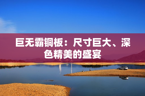 巨无霸铜板：尺寸巨大、深色精美的盛宴