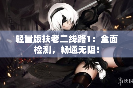 轻量版扶老二线路1：全面检测，畅通无阻！