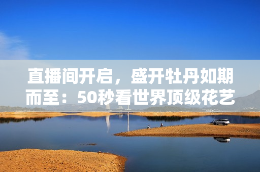 直播间开启，盛开牡丹如期而至：50秒看世界顶级花艺展！