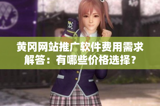黄冈网站推广软件费用需求解答：有哪些价格选择？