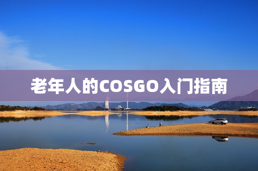 老年人的COSGO入门指南