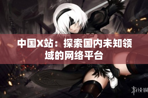 中国X站：探索国内未知领域的网络平台