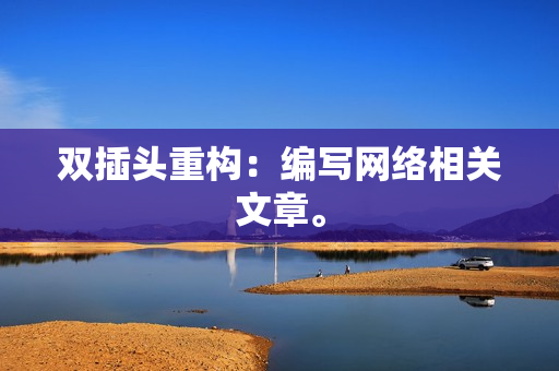 双插头重构：编写网络相关文章。