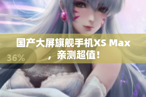 国产大屏旗舰手机XS Max，亲测超值！