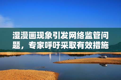 湿漫画现象引发网络监管问题，专家呼吁采取有效措施