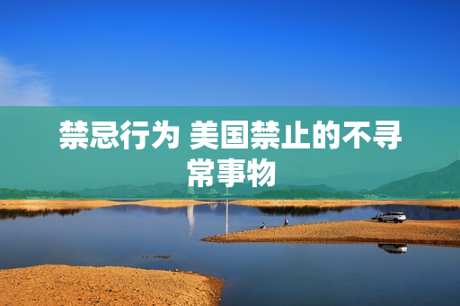 禁忌行为 美国禁止的不寻常事物