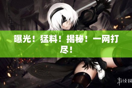 曝光！猛料！揭秘！一网打尽！