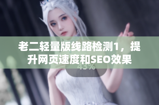 老二轻量版线路检测1，提升网页速度和SEO效果