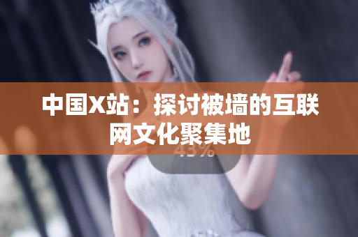 中国X站：探讨被墙的互联网文化聚集地