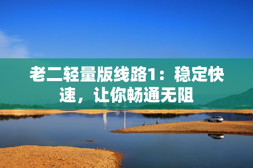 老二轻量版线路1：稳定快速，让你畅通无阻