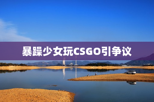 暴躁少女玩CSGO引争议