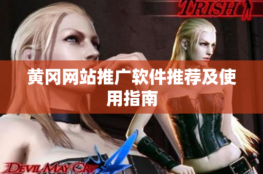 黄冈网站推广软件推荐及使用指南