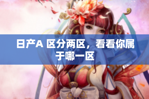 日产A 区分两区，看看你属于哪一区