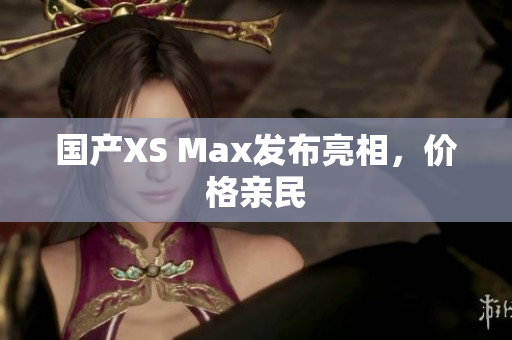 国产XS Max发布亮相，价格亲民