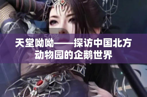 天堂呦呦——探访中国北方动物园的企鹅世界
