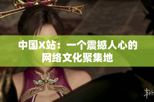 中国X站：一个震撼人心的网络文化聚集地