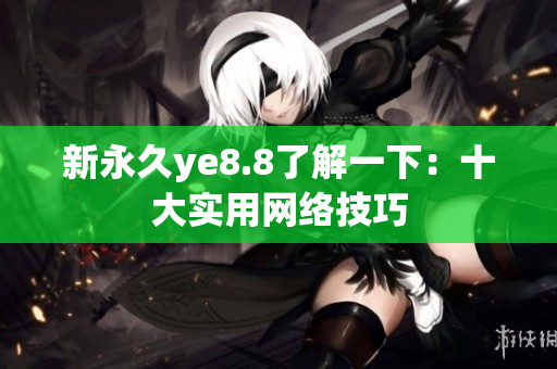 新永久ye8.8了解一下：十大实用网络技巧