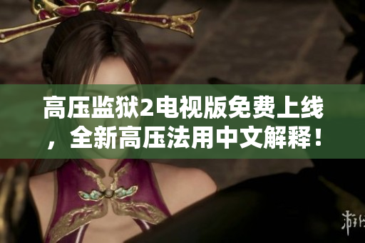 高压监狱2电视版免费上线，全新高压法用中文解释！