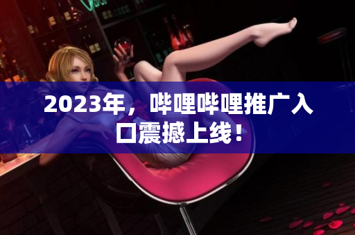 2023年，哔哩哔哩推广入口震撼上线！