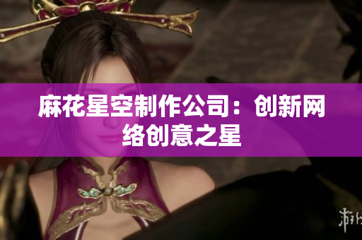 麻花星空制作公司：创新网络创意之星