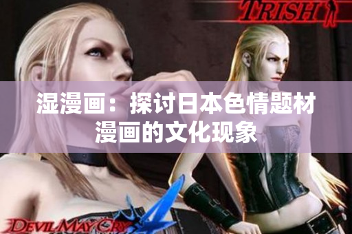 湿漫画：探讨日本色情题材漫画的文化现象