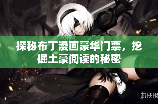 探秘布丁漫画豪华门票，挖掘土豪阅读的秘密