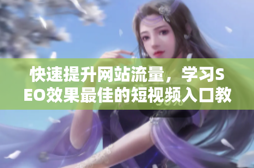 快速提升网站流量，学习SEO效果最佳的短视频入口教程