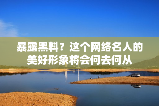 暴露黑料？这个网络名人的美好形象将会何去何从