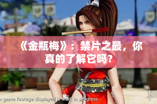 《金瓶梅》：禁片之最，你真的了解它吗？