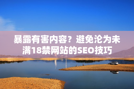 暴露有害内容？避免沦为未满18禁网站的SEO技巧