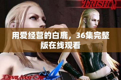 用爱经营的白鹿，36集完整版在线观看