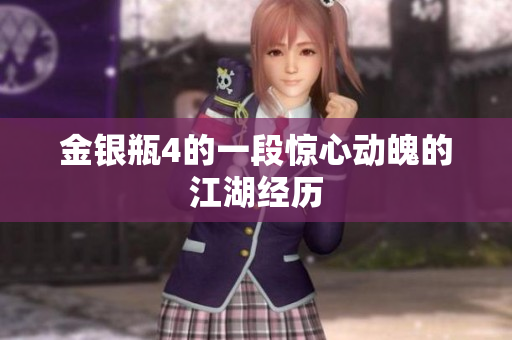 金银瓶4的一段惊心动魄的江湖经历