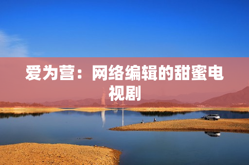 爱为营：网络编辑的甜蜜电视剧