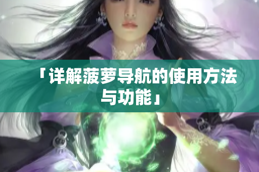 「详解菠萝导航的使用方法与功能」